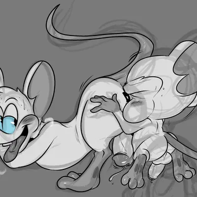 pinky (warner brothers), the brain (pinky and the brain, warner brothers) created by had0u