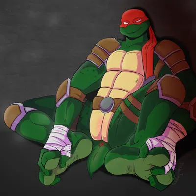 raphael (tmnt) (teenage mutant ninja turtles) created by mishajeans
