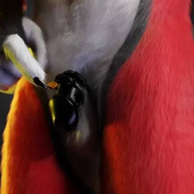 red (red wulfie) created by red wulfie