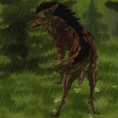 rikter (rikterwolf) created by msdeadsoul