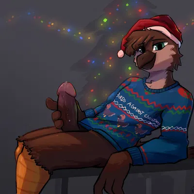 robin (twinwizardtwrs) (christmas) created by enginetrap