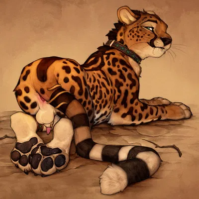 roidhcheetah created by anchee