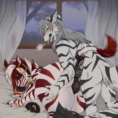 sanaa (zwerewolf), zal (zwerewolf) created by puddingpaw