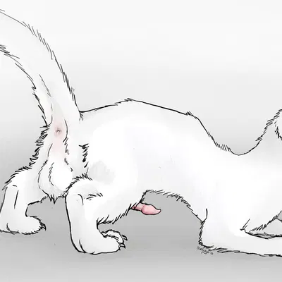 selwyn created by weasely