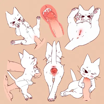 shikaruneko (shikaruneko (series)) created by forurune