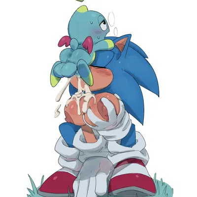 sonic the hedgehog (sega, sonic the hedgehog (series)) created by somedivs