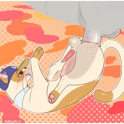 steam sale cat (steam (software), valve) created by notsafecat