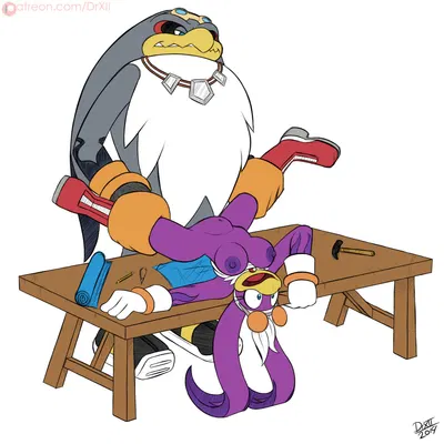 storm the albatross, wave the swallow (sega, sonic riders) created by drxii, third-party edit