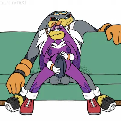 storm the albatross, wave the swallow (sega, sonic riders) created by drxii, third-party edit