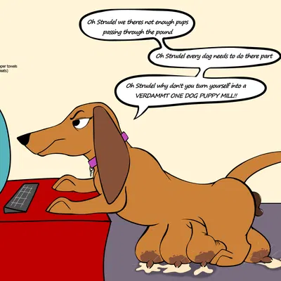strudel (pound puppies, pound puppies (2010)) created by perpetuate303