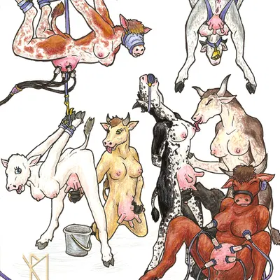 the twelve days of christmas (song) created by hassen13