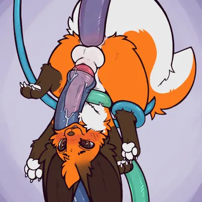 timmy fox created by yurusa