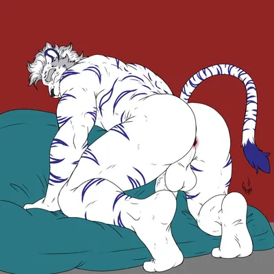 tom (hunterramirez) created by hunterramirez