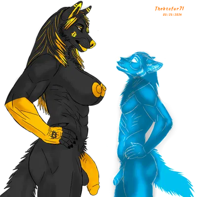 toshina (thebtcfur71) (bitcoin) created by thebtcfur71