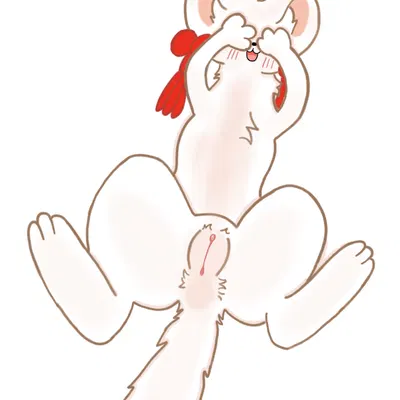 tubaoshu (fabulous beasts) (fabulous beasts) created by limxxaa