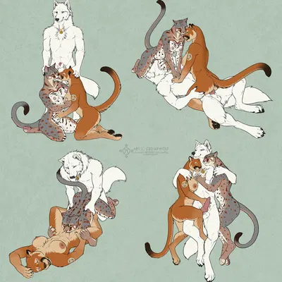 whitefang greytail, wynter cougar created by cedarwolf