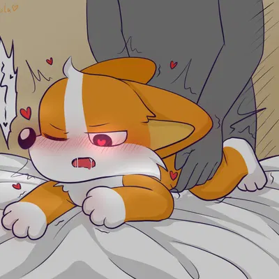 xiaomo (woshixiaomo) created by canola