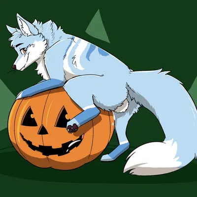 akito (akitoe) created by championwhoops (artist)