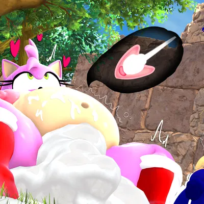 amy rose, big the cat, sonic the hedgehog (sega, sonic the hedgehog (series)) created by neotaurus