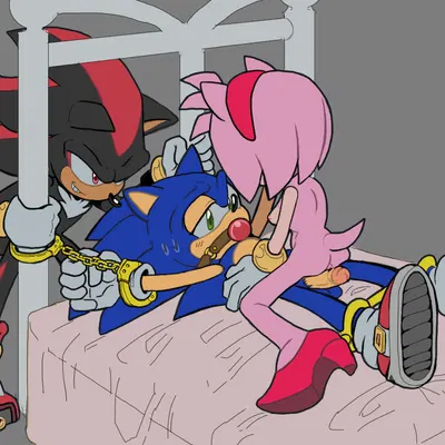 amy rose, shadow the hedgehog, sonic the hedgehog (sega, sonic the hedgehog (series)) created by arborialrodent