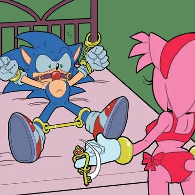 amy rose, sonic the hedgehog (sega, sonic the hedgehog (series)) created by arborialrodent