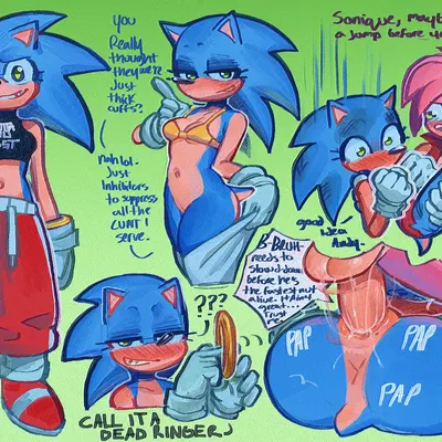 amy rose, sonic the hedgehog (sega, sonic the hedgehog (series)) created by cjfurs