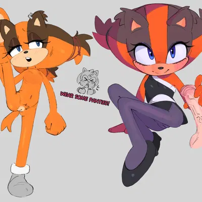 amy rose, sticks the jungle badger (sega, sonic boom) created by magnetstuff