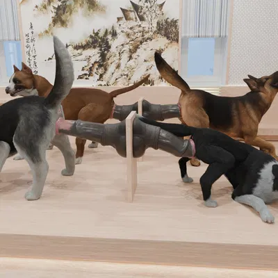 angry, animal genitalia, animal penis, animal vulva