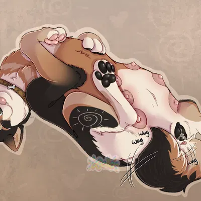 apollo (apollo sunshiba) created by apollo sunshiba