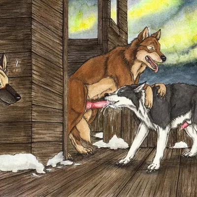 balto (balto (series), universal studios) created by kola (artist)