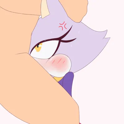 blaze the cat (sega, sonic the hedgehog (series)) created by nsfwbloom