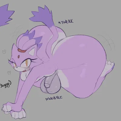 blaze the cat (sega, sonic the hedgehog (series)) created by tuggg