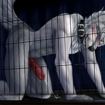 bowman ween created by fyre wolffie