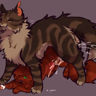 brambleclaw (warriors), squirrelstar (warriors) (warriors (book series)) created by gullswoop