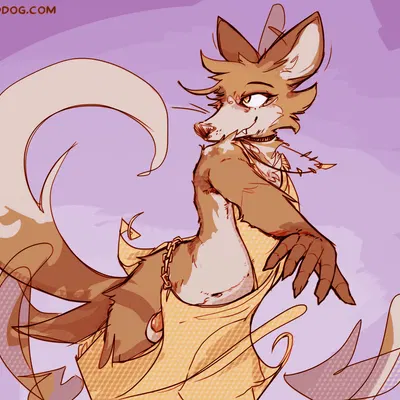 cantio (lawyerdog) created by lawyerdog