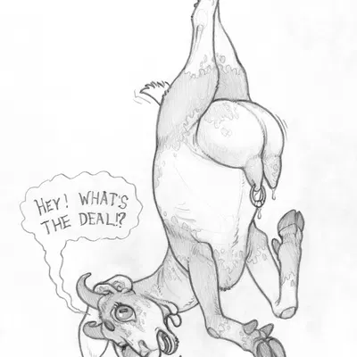 chamomile trouble created by ecmajor