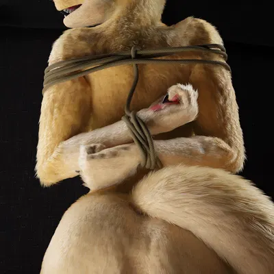 claire (red wulfie) created by red wulfie