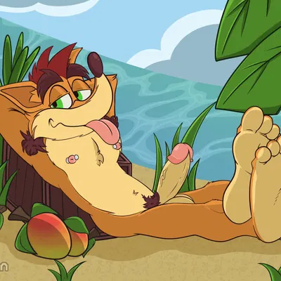 crash bandicoot (activision, crash bandicoot (series)) created by g bunn