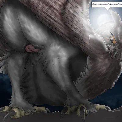 created by arcticdunx