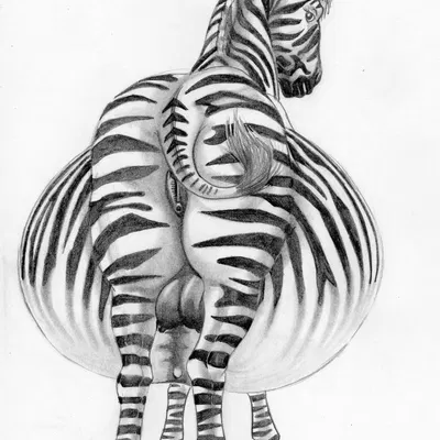 created by beuwens-folder