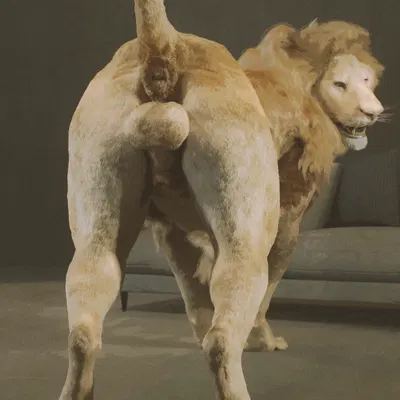 created by cosmiclife