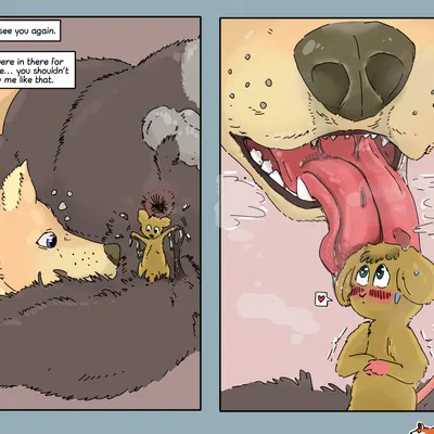 created by foxyoreos