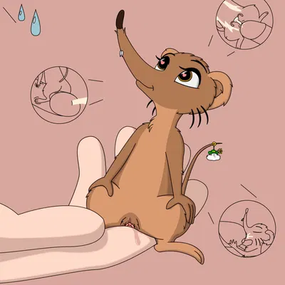 created by johnbrain93