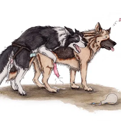 created by kola (artist)