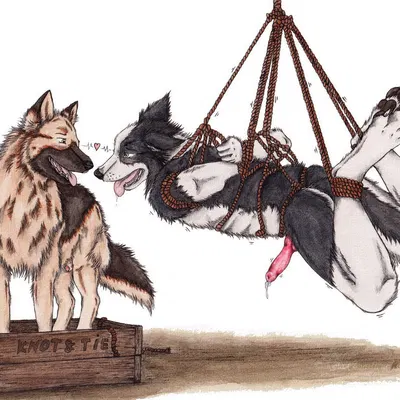 created by kola (artist)