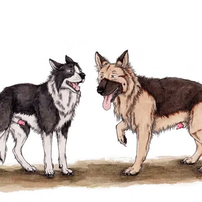 created by kola (artist)