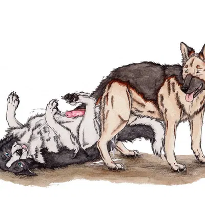 created by kola (artist)