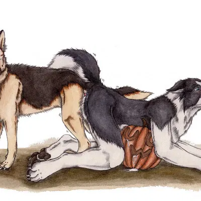 created by kola (artist)