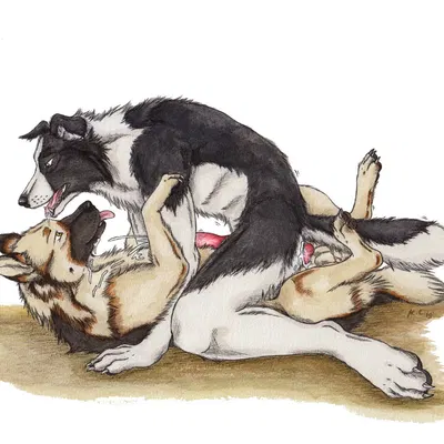 created by kola (artist)