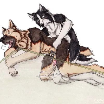 created by kola (artist)